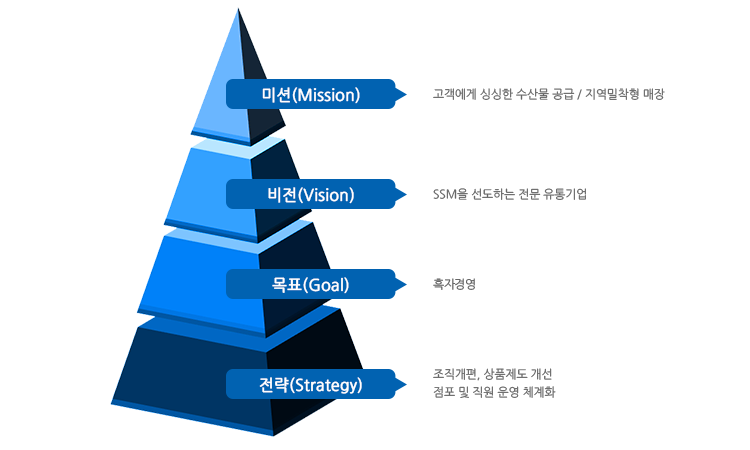 ̼(Mission) -  ̽ 깰  /  , (Vision) - SSM ϴ  , ǥ(Goal) - 2015  1500 ޼ 2017  35 , (Strategy) - , ǰ      üȭ